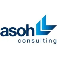 ASOH Consulting