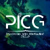 Panorama India Consulting Group (PICG) Panorama India Consulting Group (PICG)