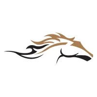 Mustang Signs and Graphics