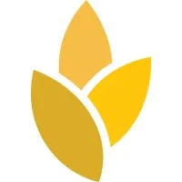 Synthesis