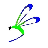 Damselfly Solutions Inc.