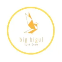 Big Bigul India