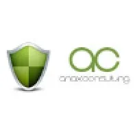 Anax Consulting Inc.