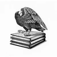 Black Hawk Literary Agency