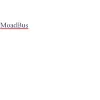 MoadBus Inc.