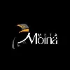 Meta Moina