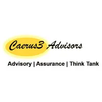 Caerus3 Advisors & Think-Tank