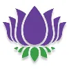 Purple Lotus Purple Lotus