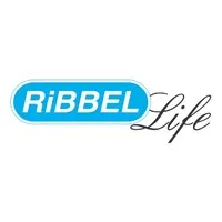 RIBBEL INTERNATIONAL LIMITED RIBBEL INTERNATIONAL LIMITED