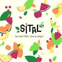 SITAL