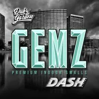 Dash Distro Dash Distro