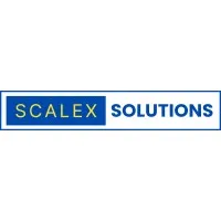 ScaleXSolutions | Business Growth & Fund Raising Expert