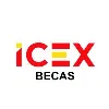 Becas ICEX de Internacionalización Becas ICEX de Internacionalización