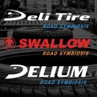 INDUSTRI KARET DELI, PT