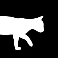 Curious Public Curious Public