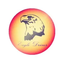 EAGLE DRIVER ELECTRONIC LIMITED