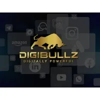 Digibullzaire Ventures Private Limited