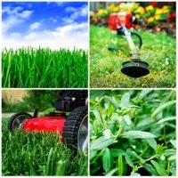 Cedar Creek Property Services