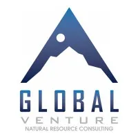 Global Venture