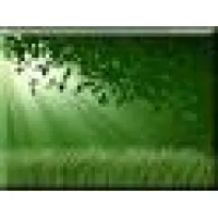 Data Mining Group Data Mining Group