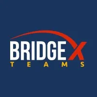 BridgeX Teams (no longer in business)