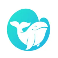 胖鲸智库 胖鲸智库