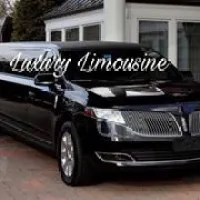 Luxury Limousine