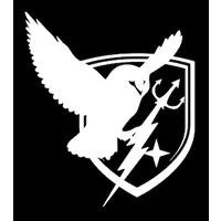 Defense Strategies Group