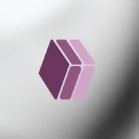 Olap Digital Solutions llc