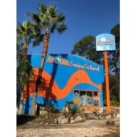 AQUAfin Swim School Jacksonville