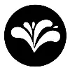 Irri Design Studio