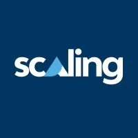 Scaling Scaling