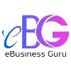 eBusiness Guru eBusiness Guru