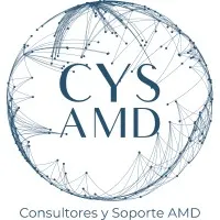 Consultores y Soporte AMD, Integradores de Sistemas