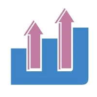 Western Partners Consulting Ltd