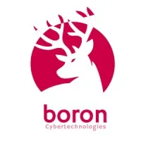 Boron Cybertechnologies Boron Cybertechnologies