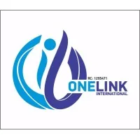 ONELINK INTERNATIONAL REO LLC
