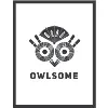 Owlsome Group Ltd. Owlsome Group Ltd.