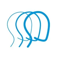 Brain Injury Association of Virginia