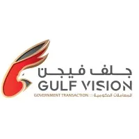 Gulf Vision Government Transactions LLC