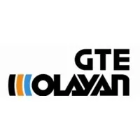 GTE Olayan GTE Olayan