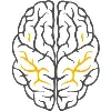Neuropedia Neuropedia