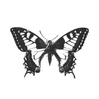 di Paola Latina di Paola Latina