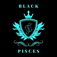 BLACK PISCES IT SOLUTIONS PTE LIMITED