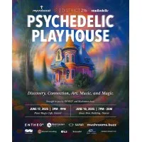 Psychedelic Playhouse by District216
