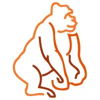 Motorangutan Motorangutan