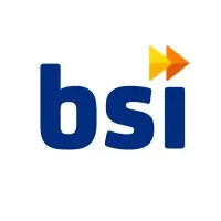 BSI Services email format