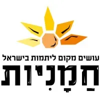 Sunflowers - חמניות