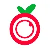 Orchard Orchard