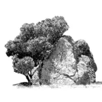 Spirit Rock Meditation Center